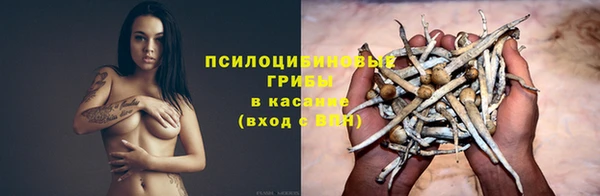 скорость Богородск