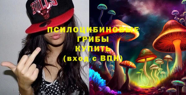 скорость Богородск