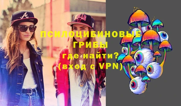 кокаин Богданович