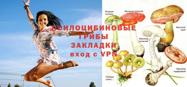 скорость Богородск