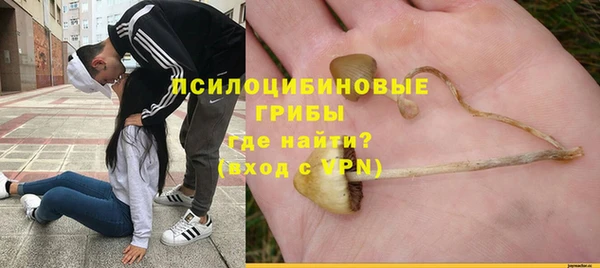 скорость Богородск