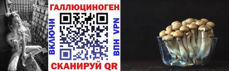 Псилоцибиновые грибы Cubensis  даркнет сайт  Татарск 