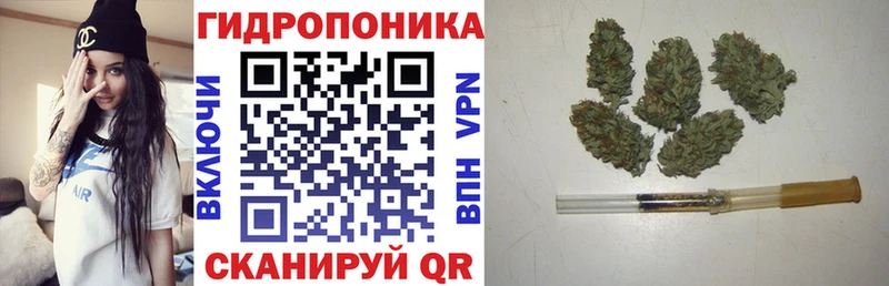 Шишки марихуана конопля  Татарск 